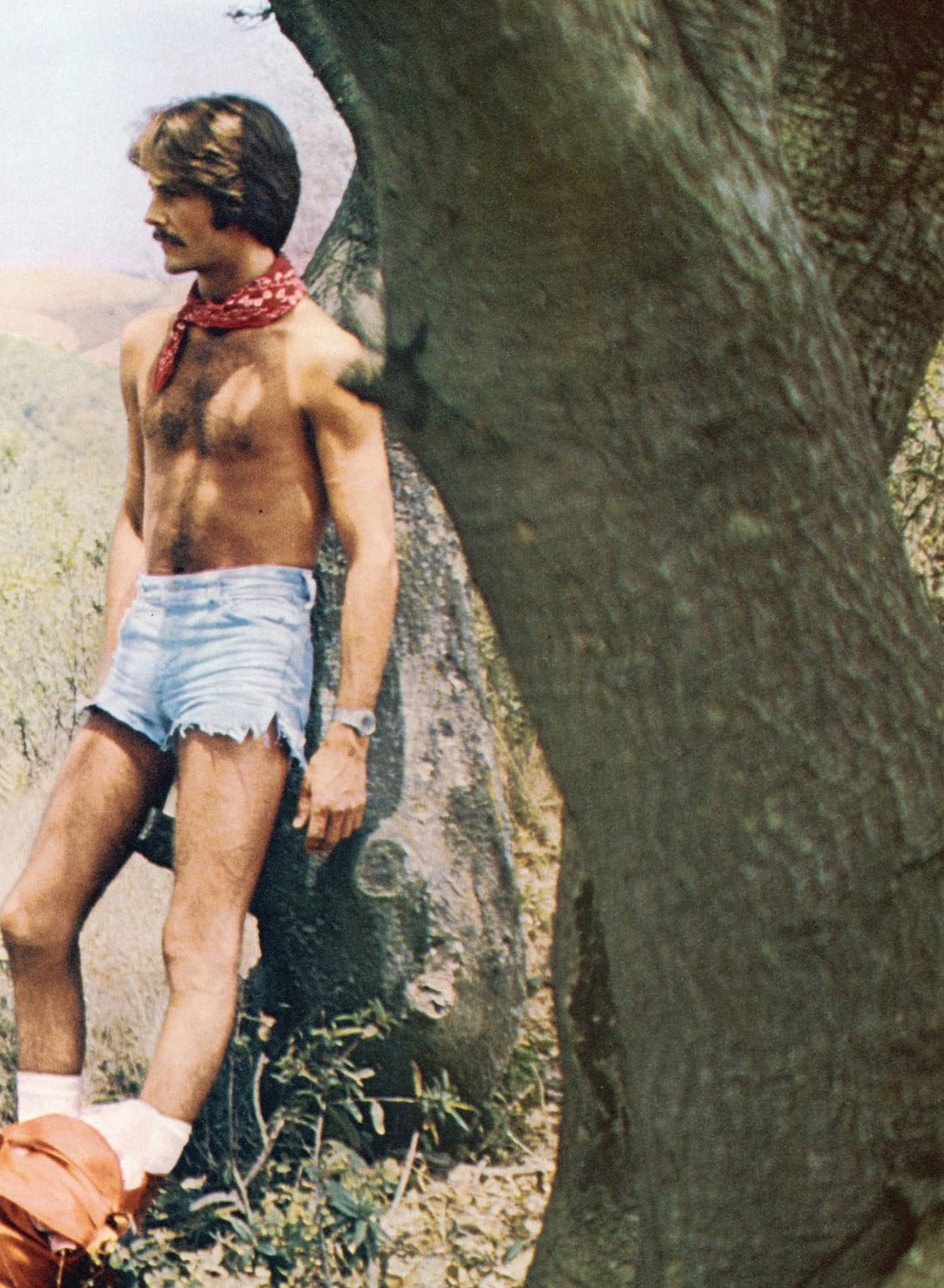 PLAYGIRL: The Official History of a Cult Magazine • 50th Anniversary Book